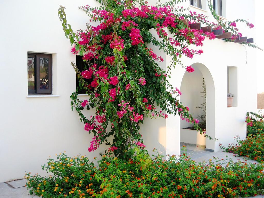 奥拉度假别墅 Paphos 外观 照片